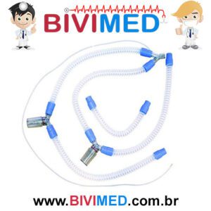 CIRCUITO INTER 5 COMPLETO